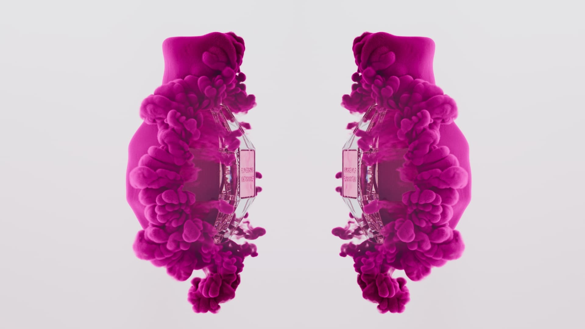 victor_and_rolf_flowerbomb_2.jpg