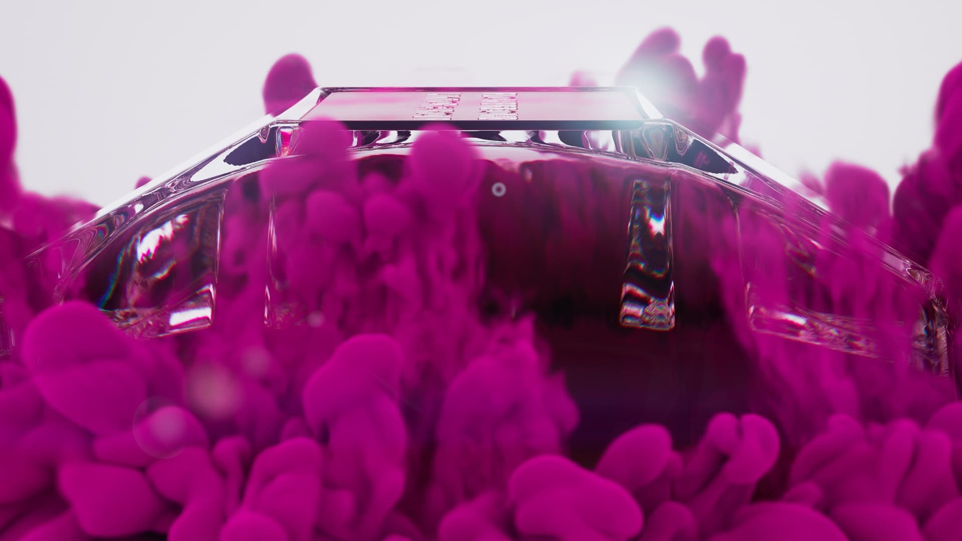 victor_and_rolf_flowerbomb_3.jpg